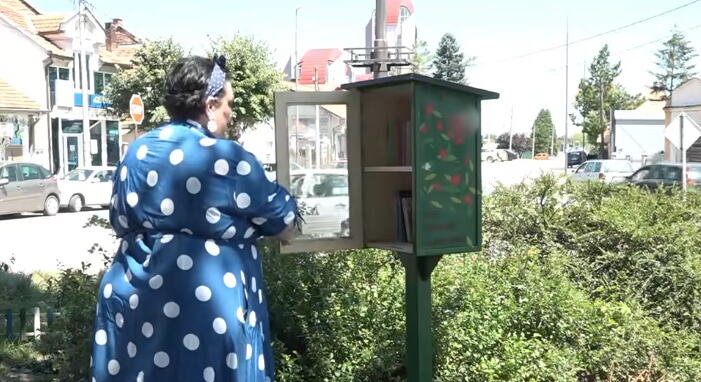 SVE JE POČELO SLUČAJNO, OD PAR STARIH KNJIGA KOJE JE NEKO BACIO U ŽBUNJE: Kako je u Zaječaru nastala kućica za knjige koje mogu da se pozajme potpuno besplatno!