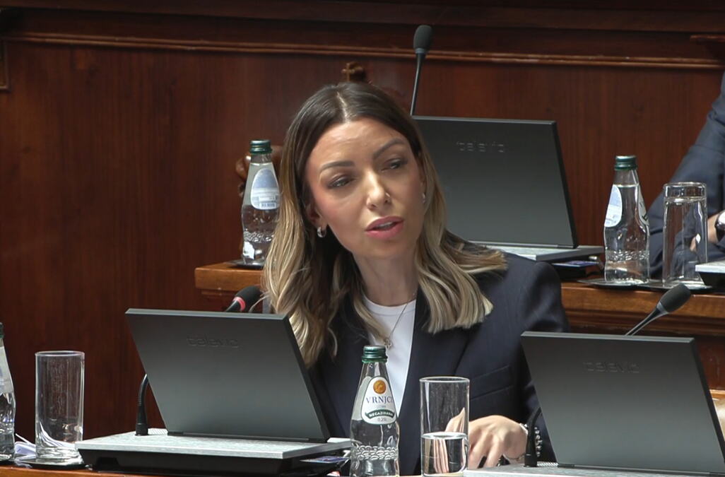 Mesarović i Aleksić se sukobili u Skupštini oko teme privatizacija