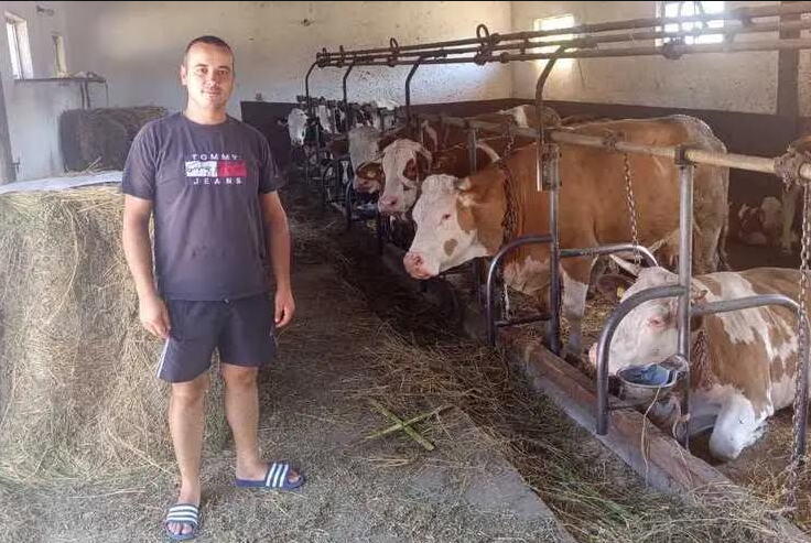 Više mleka, bolja hrana i veća zarada: Kragujevac sprovodi projekat za unapređenje stočarske proizvodnje