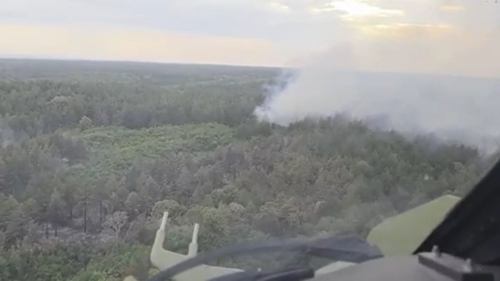 Požar u specijalnom rezervatu prirode Deliblatska peščara: U gašenju učestvuje i "Super puma" MUP-a (VIDEO)