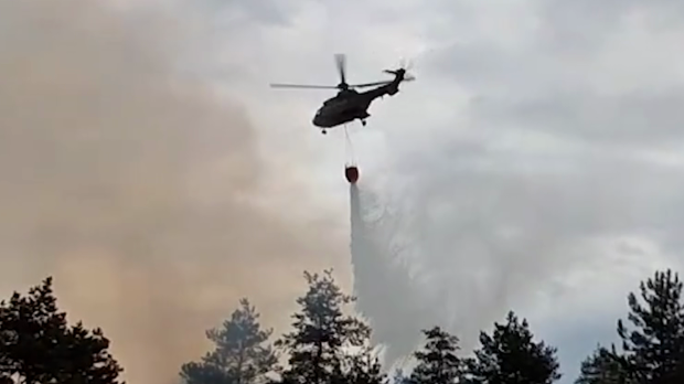 Ugašen požar u Deliblatskoj peščari